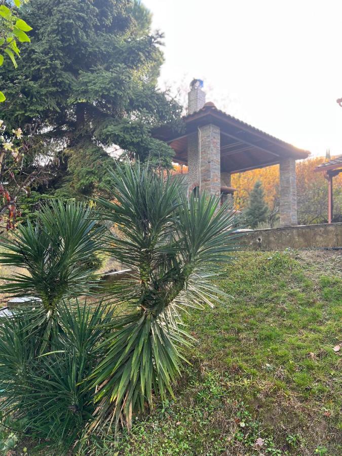 House In The Woods Kardítsa Exterior foto